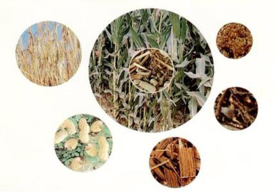 清洁可再生能源与生态环境材料 构筑绿色未来的双翼