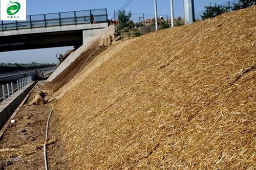 白银市延鑫直销 生态毯护坡发货快，厂家直销助力绿色建设