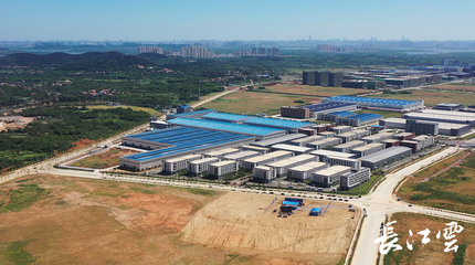 武汉市蔡甸区重大项目集中开工 投资71.8亿元，聚焦生态环境材料销售新机遇