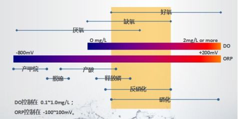 博汇特潘建通 环保新材料与生态药剂双翼齐飞，biodopp微氧工艺引领产业变革