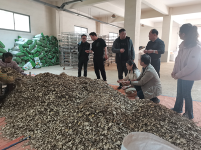 校企合作推动生态环境材料销售的发展与创新