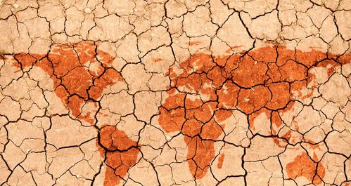 沙漠下的宝藏 生态环境材料的潜在价值与商机